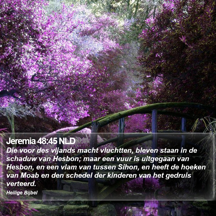 Jeremia 48:45 NLD Bible Study