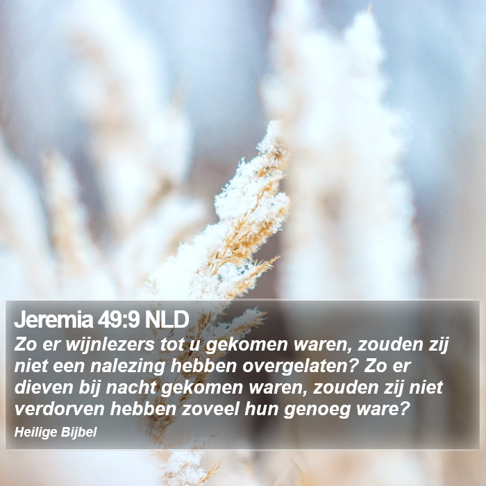 Jeremia 49:9 NLD Bible Study