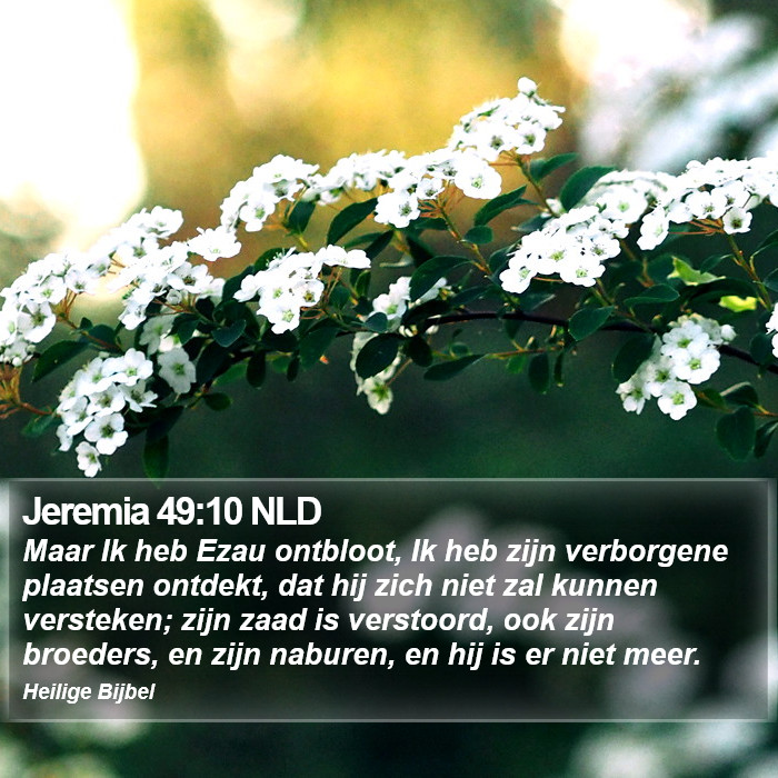 Jeremia 49:10 NLD Bible Study