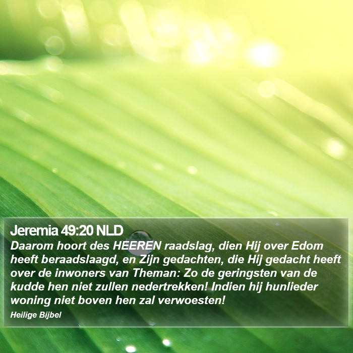 Jeremia 49:20 NLD Bible Study