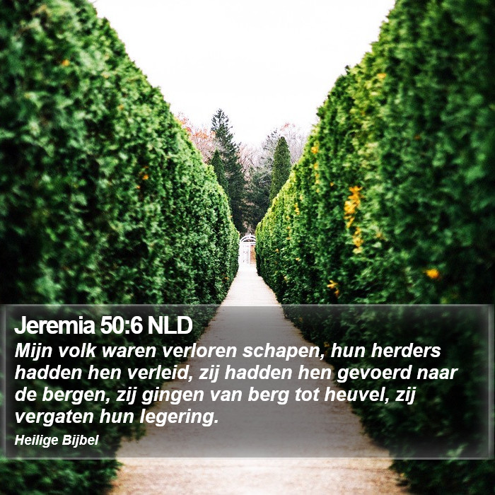 Jeremia 50:6 NLD Bible Study