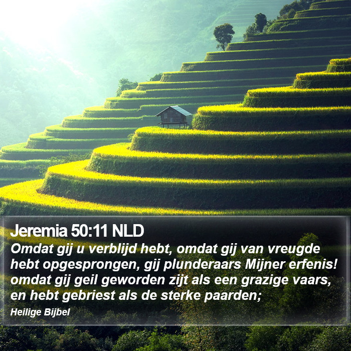 Jeremia 50:11 NLD Bible Study