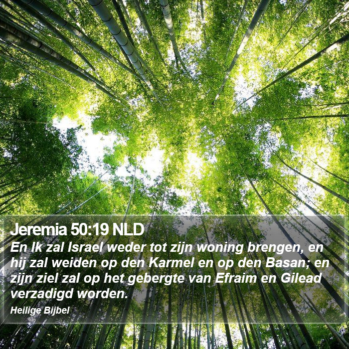 Jeremia 50:19 NLD Bible Study