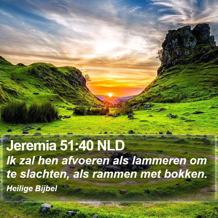 Jeremia 51:40 NLD Bible Study