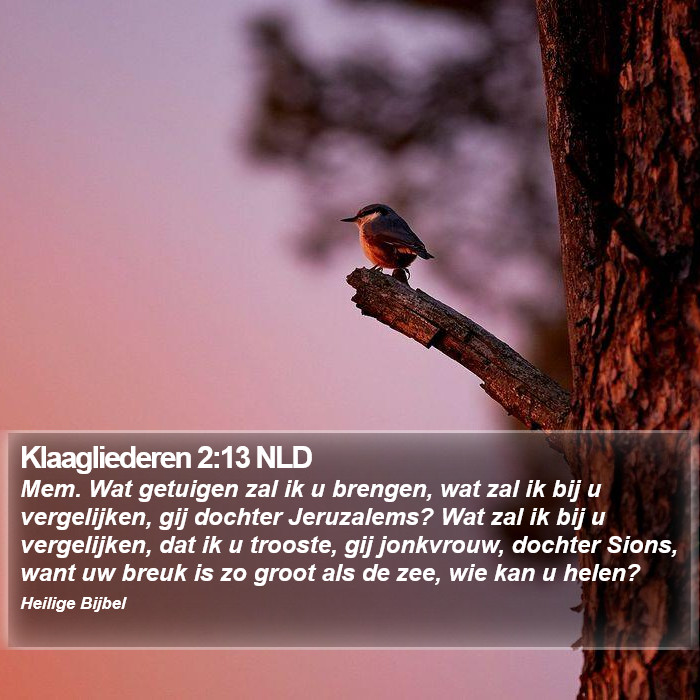 Klaagliederen 2:13 NLD Bible Study