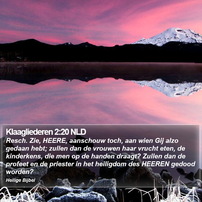 Klaagliederen 2:20 NLD Bible Study