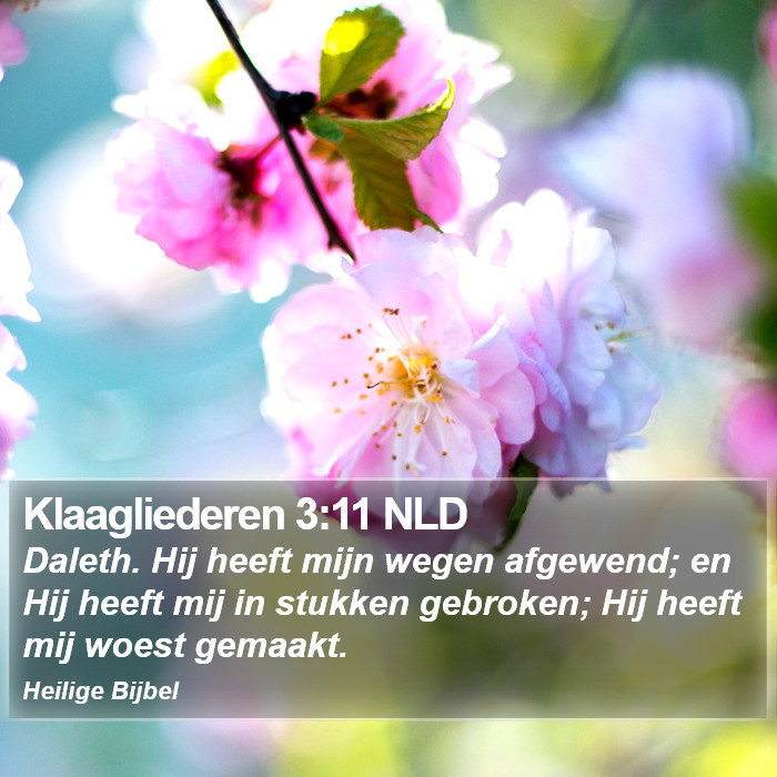 Klaagliederen 3:11 NLD Bible Study