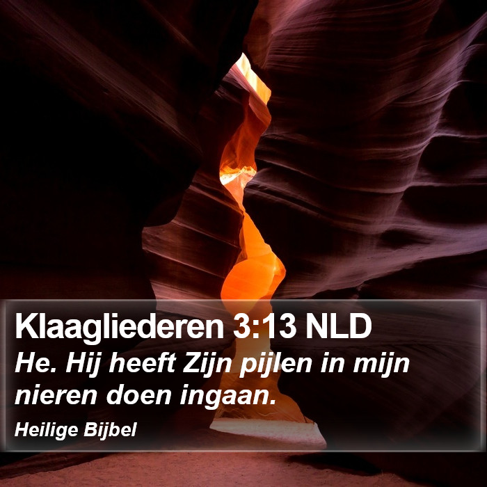 Klaagliederen 3:13 NLD Bible Study