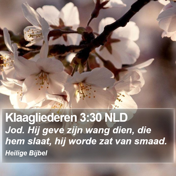Klaagliederen 3:30 NLD Bible Study