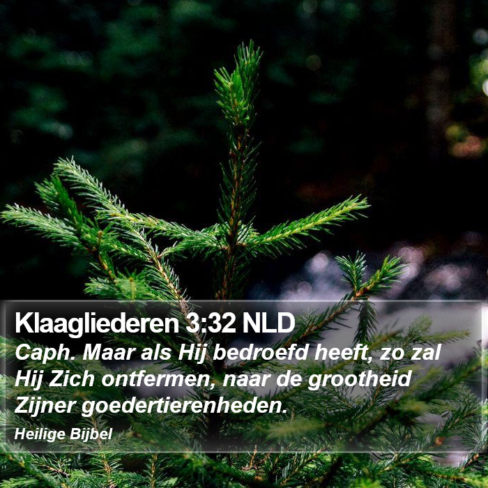Klaagliederen 3:32 NLD Bible Study