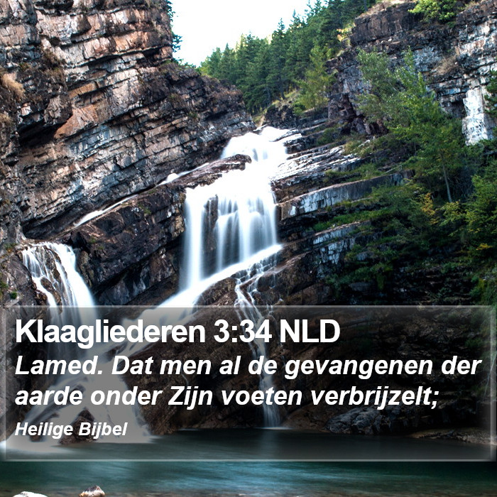 Klaagliederen 3:34 NLD Bible Study