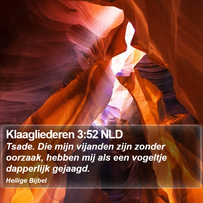Klaagliederen 3:52 NLD Bible Study