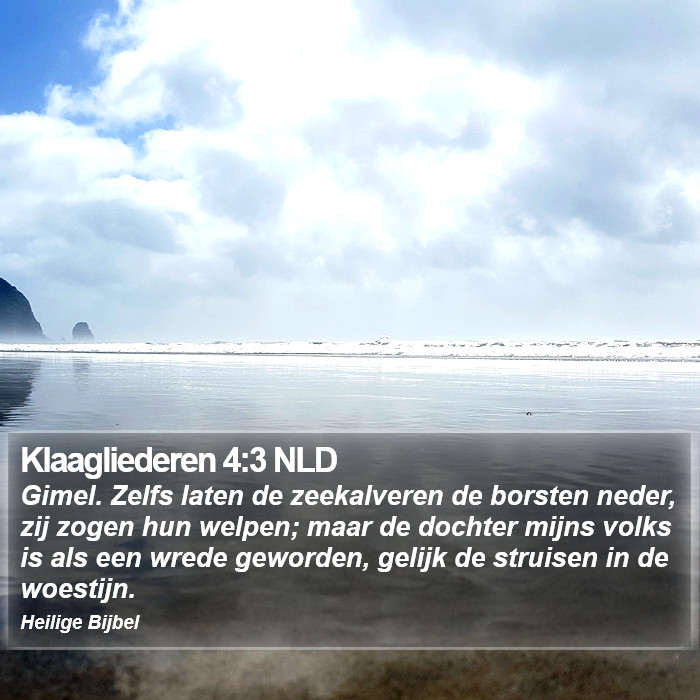 Klaagliederen 4:3 NLD Bible Study