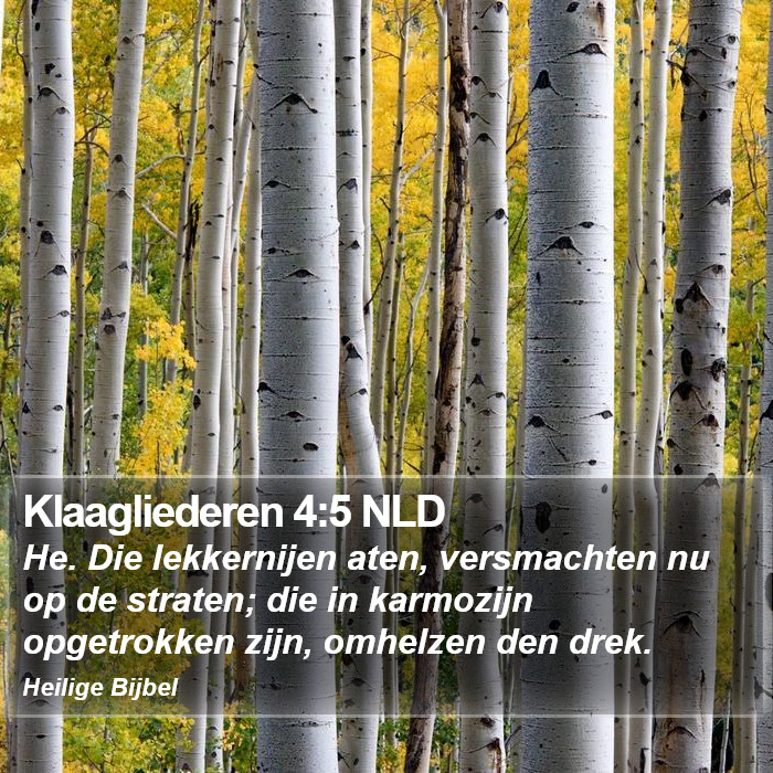 Klaagliederen 4:5 NLD Bible Study