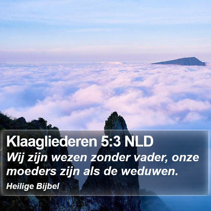 Klaagliederen 5:3 NLD Bible Study