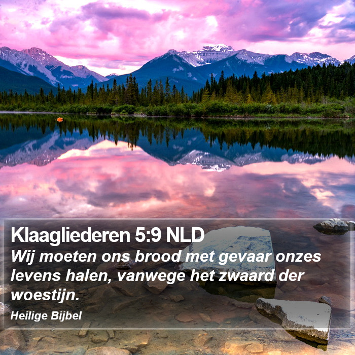 Klaagliederen 5:9 NLD Bible Study