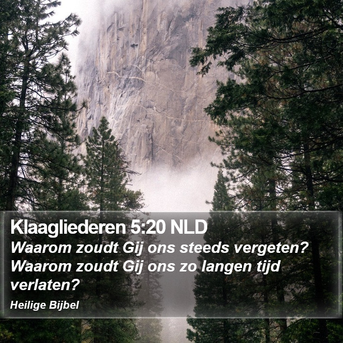 Klaagliederen 5:20 NLD Bible Study