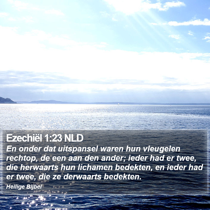 Ezechiël 1:23 NLD Bible Study