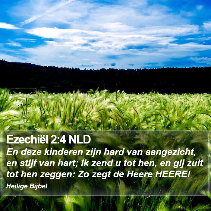 Ezechiël 2:4 NLD Bible Study
