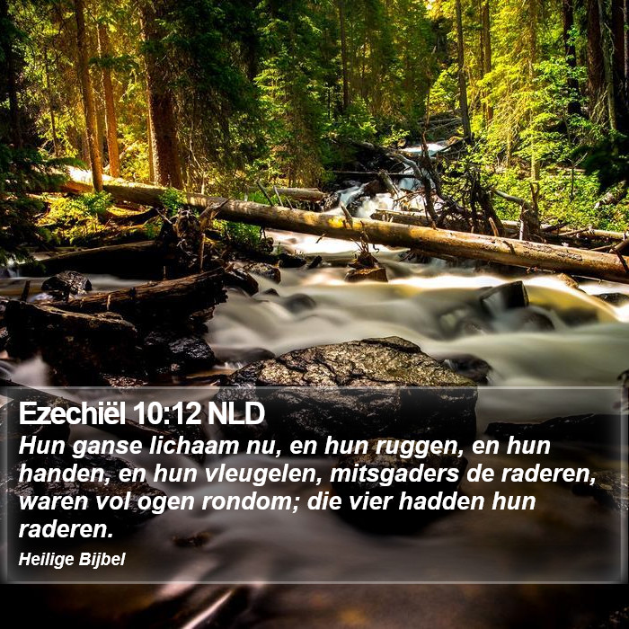 Ezechiël 10:12 NLD Bible Study