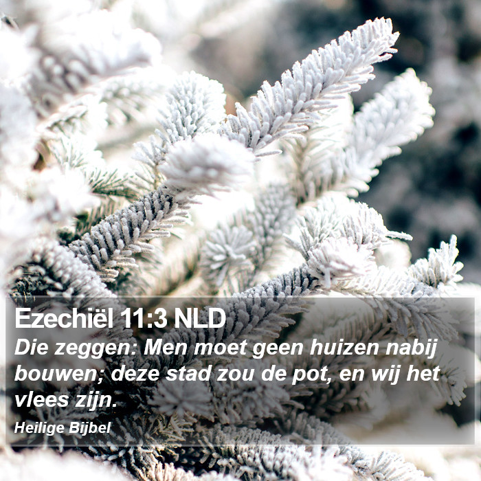 Ezechiël 11:3 NLD Bible Study
