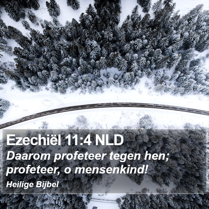 Ezechiël 11:4 NLD Bible Study