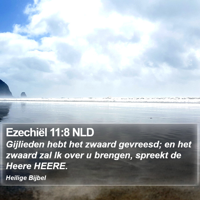 Ezechiël 11:8 NLD Bible Study
