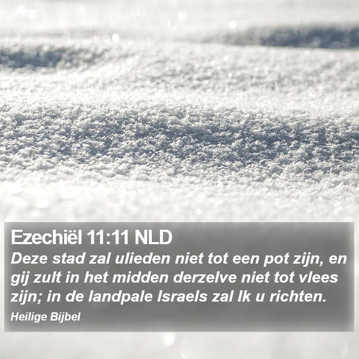 Ezechiël 11:11 NLD Bible Study
