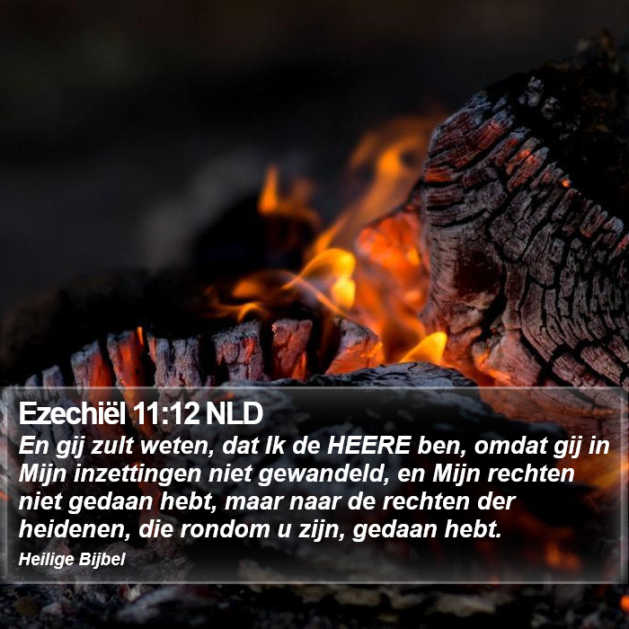 Ezechiël 11:12 NLD Bible Study
