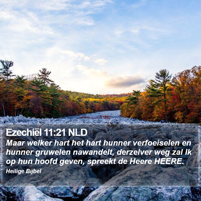Ezechiël 11:21 NLD Bible Study