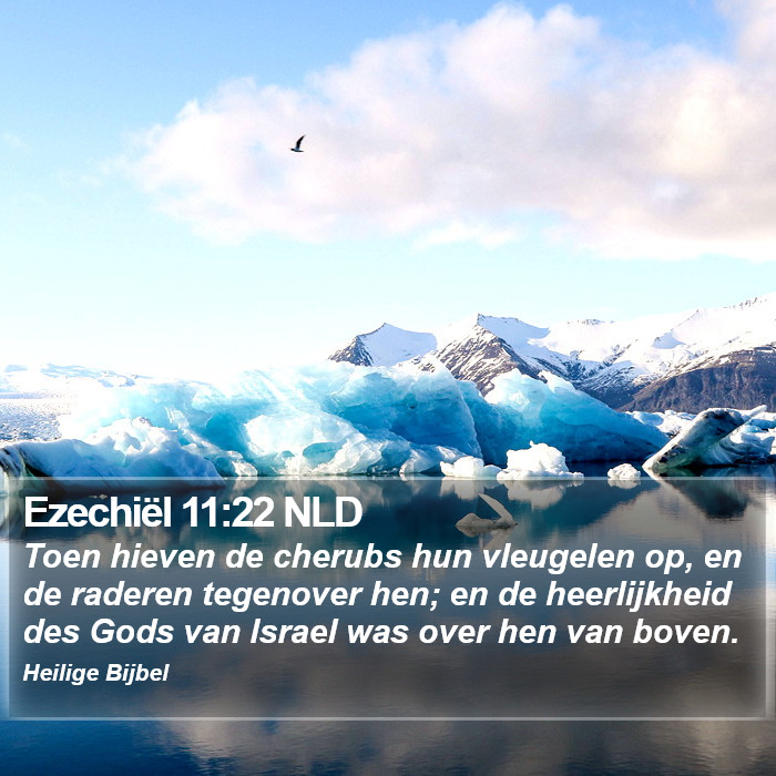 Ezechiël 11:22 NLD Bible Study