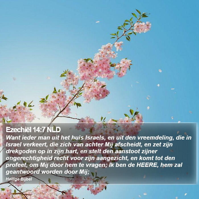 Ezechiël 14:7 NLD Bible Study