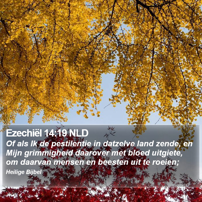 Ezechiël 14:19 NLD Bible Study