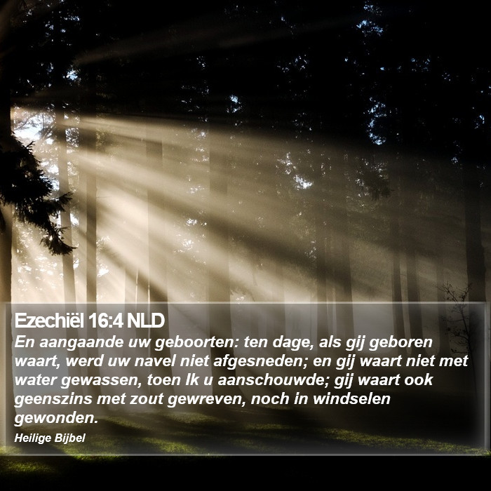 Ezechiël 16:4 NLD Bible Study