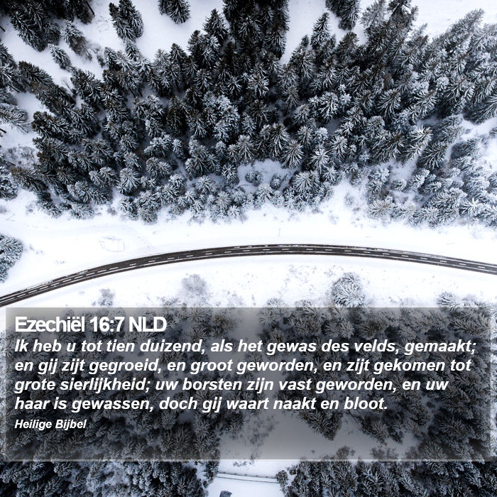 Ezechiël 16:7 NLD Bible Study