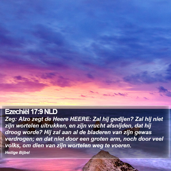Ezechiël 17:9 NLD Bible Study