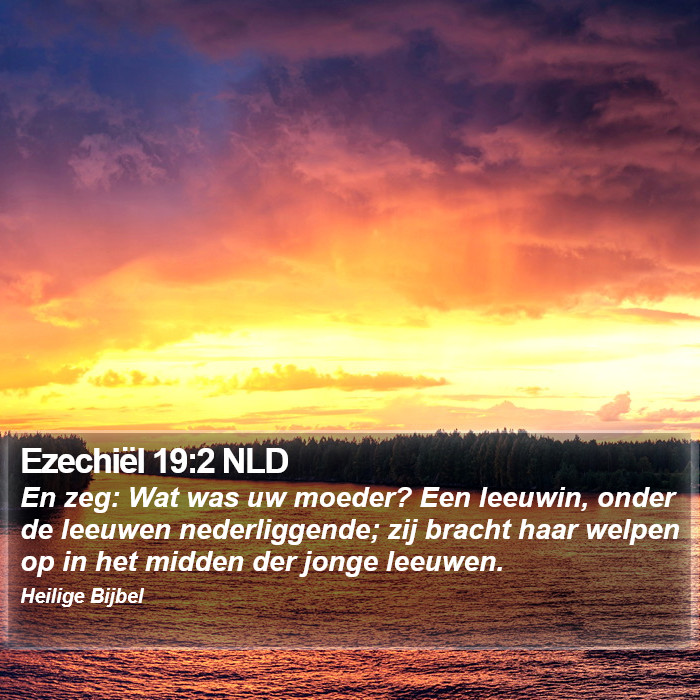 Ezechiël 19:2 NLD Bible Study