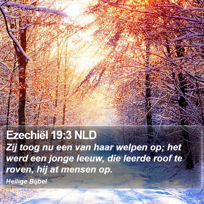 Ezechiël 19:3 NLD Bible Study