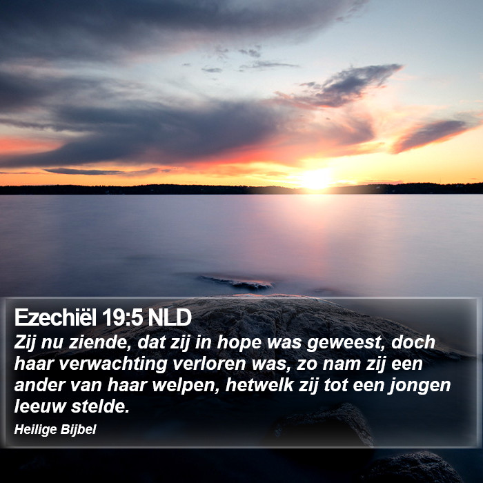 Ezechiël 19:5 NLD Bible Study