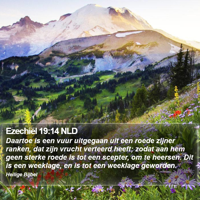 Ezechiël 19:14 NLD Bible Study