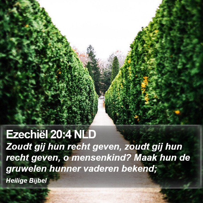 Ezechiël 20:4 NLD Bible Study