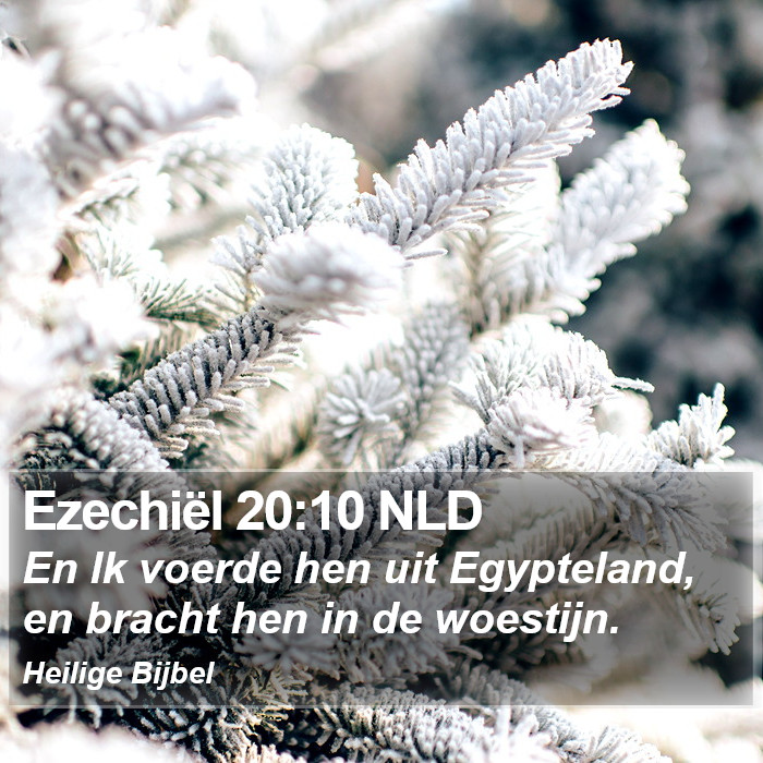 Ezechiël 20:10 NLD Bible Study