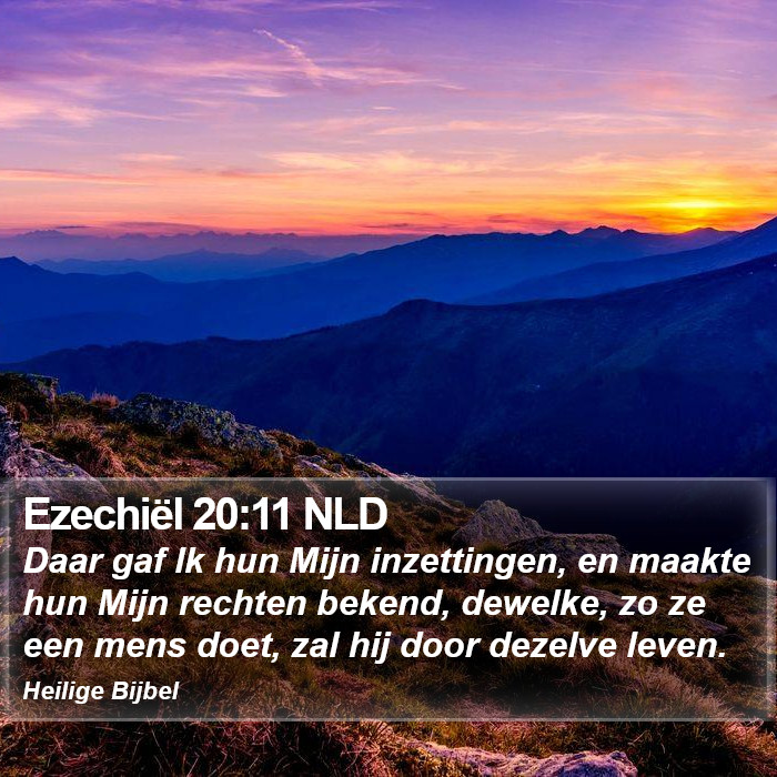 Ezechiël 20:11 NLD Bible Study