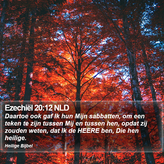 Ezechiël 20:12 NLD Bible Study