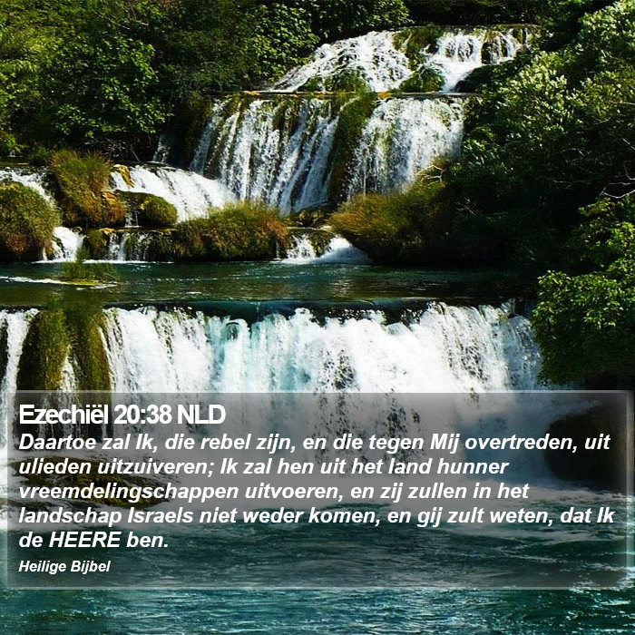 Ezechiël 20:38 NLD Bible Study