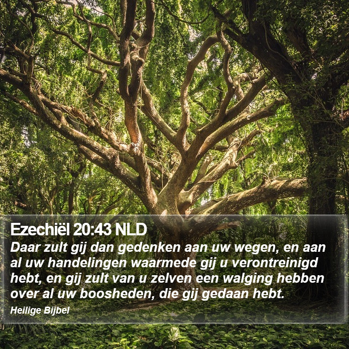 Ezechiël 20:43 NLD Bible Study