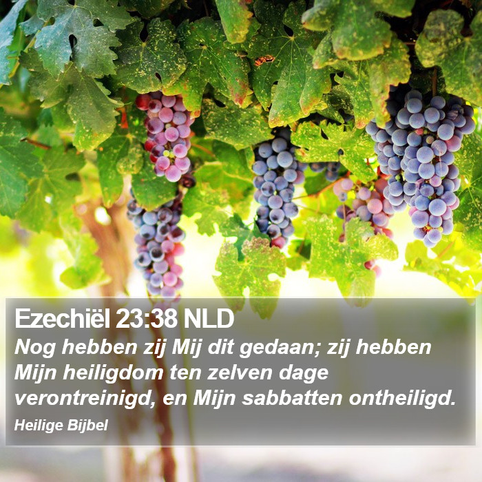 Ezechiël 23:38 NLD Bible Study