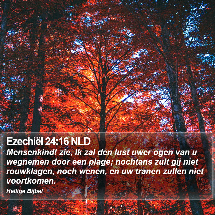 Ezechiël 24:16 NLD Bible Study