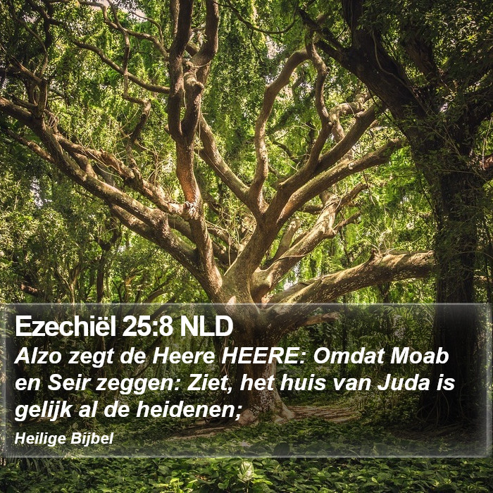 Ezechiël 25:8 NLD Bible Study