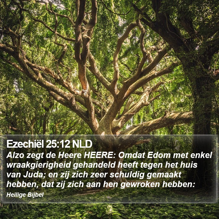 Ezechiël 25:12 NLD Bible Study